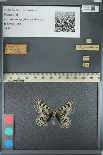 Media type: image;   Entomology 174693